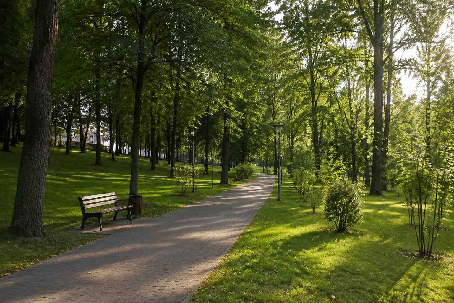 https://novyj-urengoj.blago-s.ru/storage/app/uploads/public/6a7/eef/ed2/6a7eefed2af22038960370.jpg